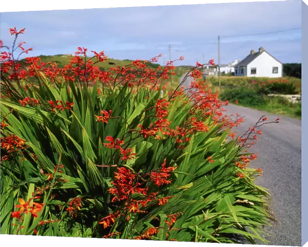 Rosbeg, County Donegal, Ireland, Traditional Cottage