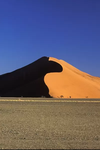 Sand Dune And Field