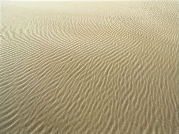 Oregon, Close-Up Of Sand Patterns In The Umpqua Dunes
