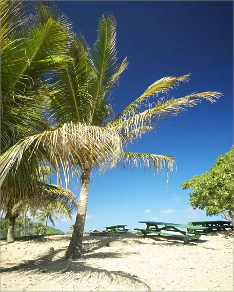 Hawaii, Kauai, Lydgate Beach Park, Palms And Picnic Tables On Sandy Shore