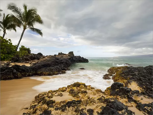 Hawaii, Maui, Makena Cove, Tropical beach and palm trees