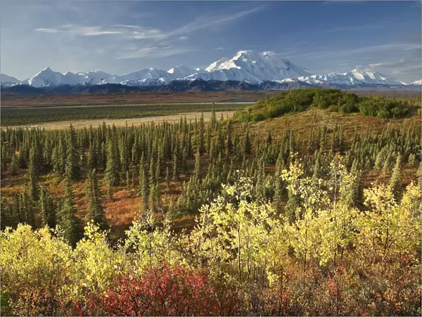 Scenic View Of Mt. Mckinley And The Alaska Range With Taiga And Fall Colors In The Foreground Near Wonder Lake In Denali National Park, Alaska