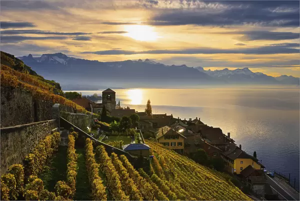 Switzerland, Lavaux Unesco World Heritage region, Vineyards; Saint-Saphorin