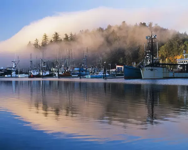 Boats Dock At Winchester Bay; Oregon, United States Of America