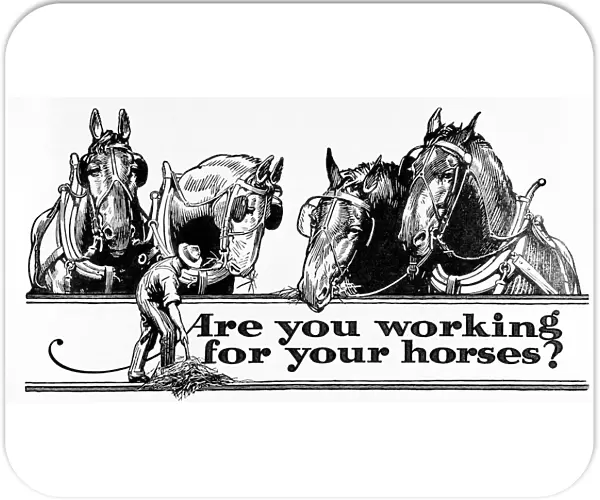 Historic 'are You Working For Your Horses?'Advertisement With Illustration Of Farmer And Horses In Early 20th Century