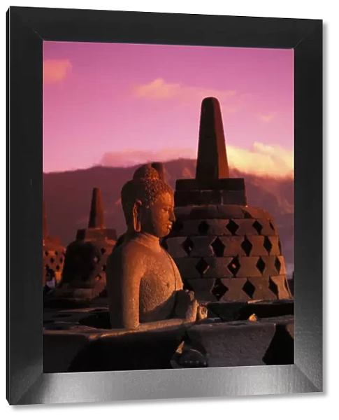 Indonesia, Java, Borobudor Temple And Buddha Statue At Sunrise, Pink Misty Sky