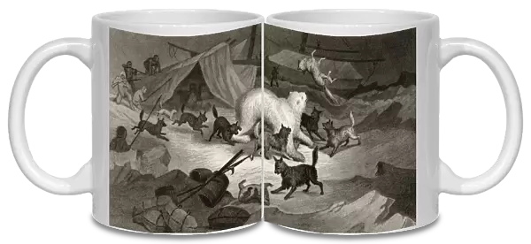 Bear Hunt From Arctic Explorations In The Years 1853, 54, 55 By American Explorer Doctor Elisha Kent Kane 1820 To 1857 Volume 1 Published In Philadelphia By Childs And Peterson 1856 Engraved By J. C. Mc Crea After A Work By G. White From A Sketch By Doctor Kane