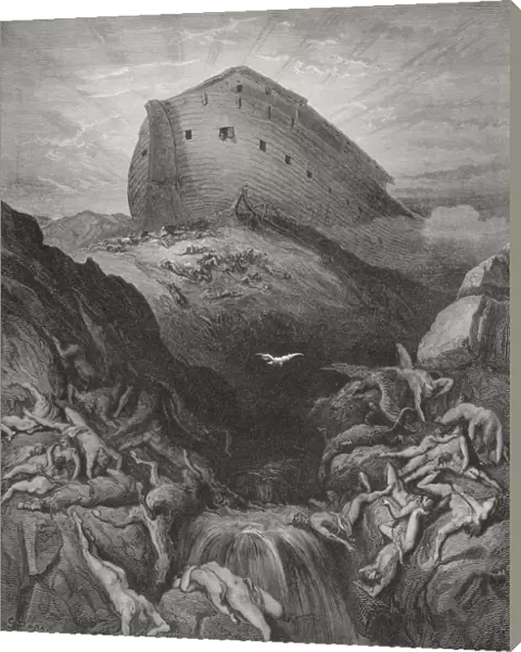 Engraving From The Dore Bible Illustrating Genesis Xiii 8 And 9 The Dove Sent Forth From The Ark By Gustave Dore 1832-1883 French Artist And Illustrator
