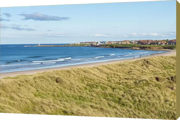 Grassy dunes and beach along the North Sea with the town of Seahouses in the background in Northumberland, England, United Kingdom