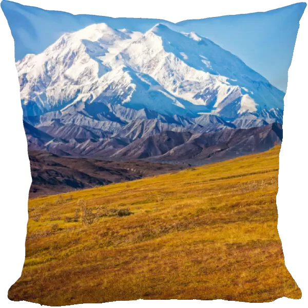 Grizzly Bear and Mount Denali (McKinley), Denali National Park and Preserve, Alaska, USA