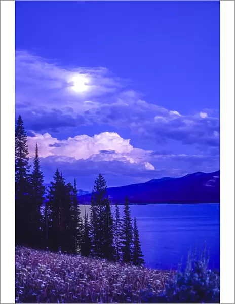 Moonlight over The Thorofare in the Upper Yellowstone River Valley, Yellowstone National Park, USA