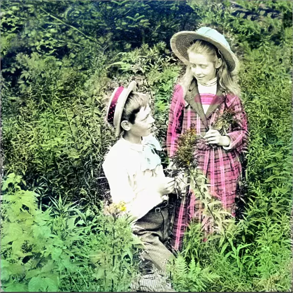 A stereoview of a boy and a girl in the woods with Goldenrod flowers, dated 1889. This is a hand-coloured photograph of the period