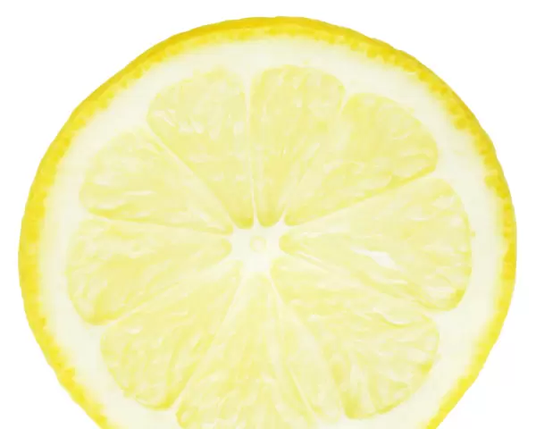 CS_FV19. Citrus limon. Lemon. Yellow subject