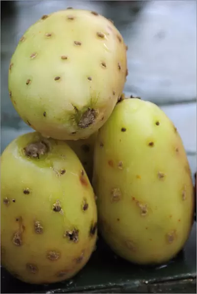 mexico, bajio, zacatecas, tunas or cactus fruit