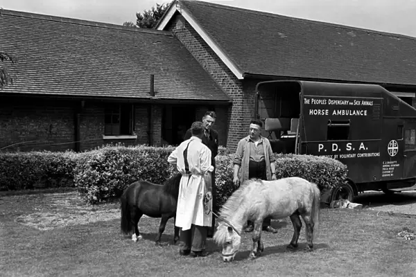 The Peoples dispensary for sick animals-PDSA Centre. July 1952 C3468-001