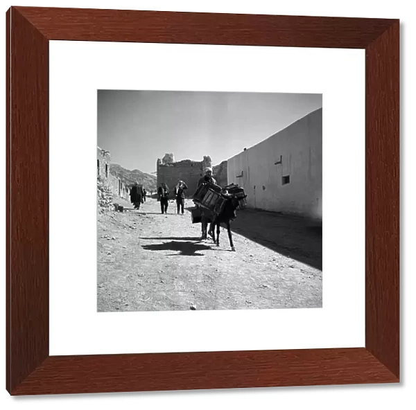 Arab walks behind a donkey in the trans - Jordan town of Aqaba. March 1952 C1288-002