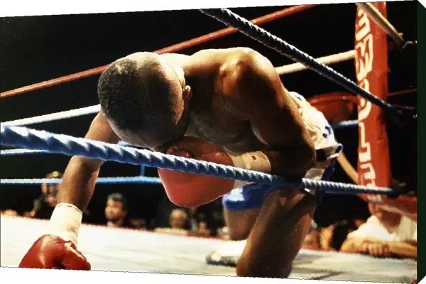 LLoyd Honeyghan Boxing Down for the count on one knee