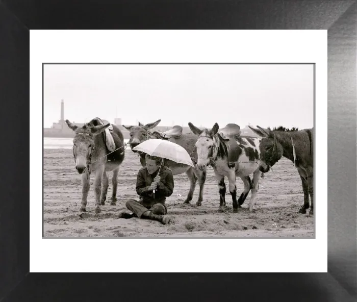 Framed Print : Raining Donkey Rides Print August 1977