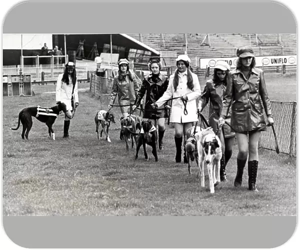 Greyhound racing picture shows: Grand parade, before the off by the dogs