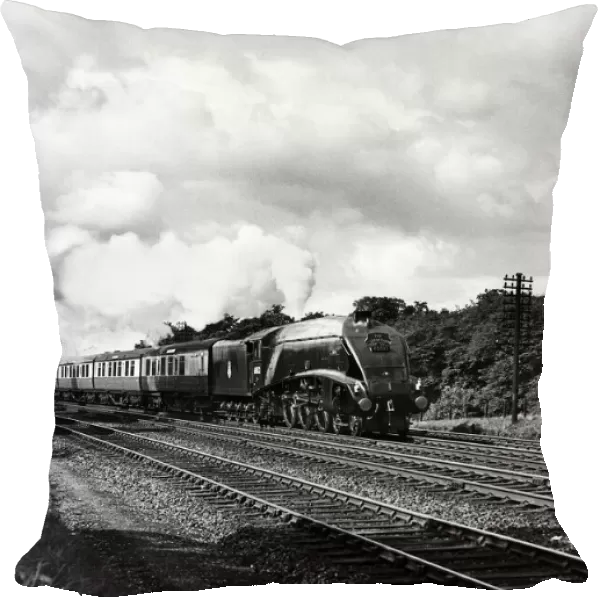 The London North East Railway Class A4 4-6-2 steam locomotive 60032 Gannet heads