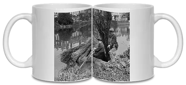 Reed Cutting on the Thames 1st May 1927 Within a stones throw of Chiswick church