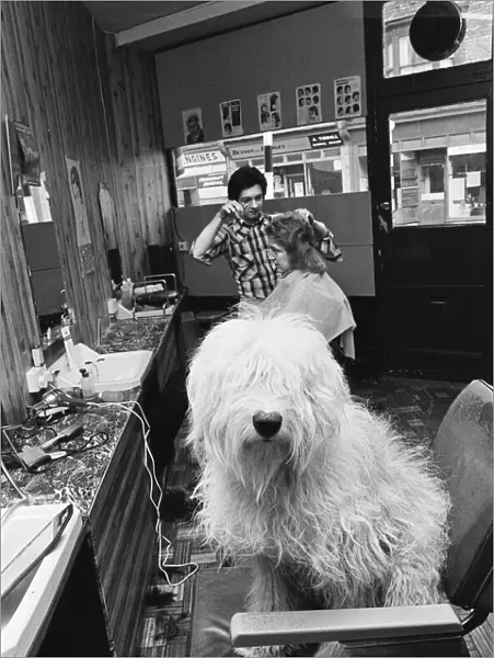 Barberslong-haired pal won get hair cut. Circa 1973