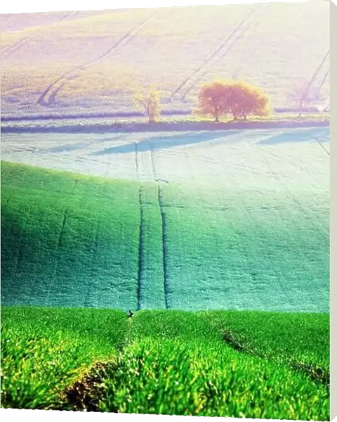 Picturesque rural landscape with green agricultural field and trees on spring hills. South Moravia region, Czech Republic