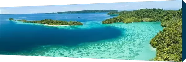 Healthy fringing coral reefs grow around the beautiful islands that rise from West Papua's seascape. This area is known for its marine biodiversity
