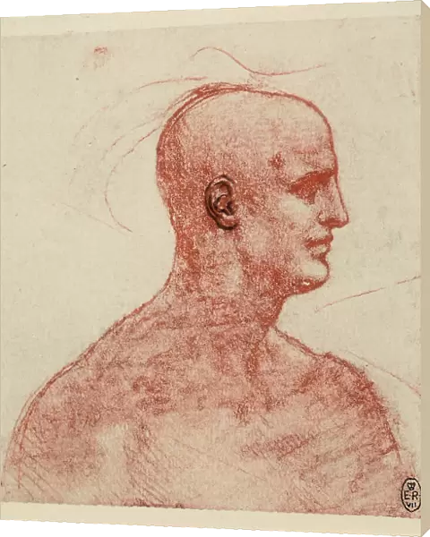 Profile of a male portrait, red pencil drawing with ink touches on white paper by Leonardo da Vinci and preserved at the Royal Library of Windsor