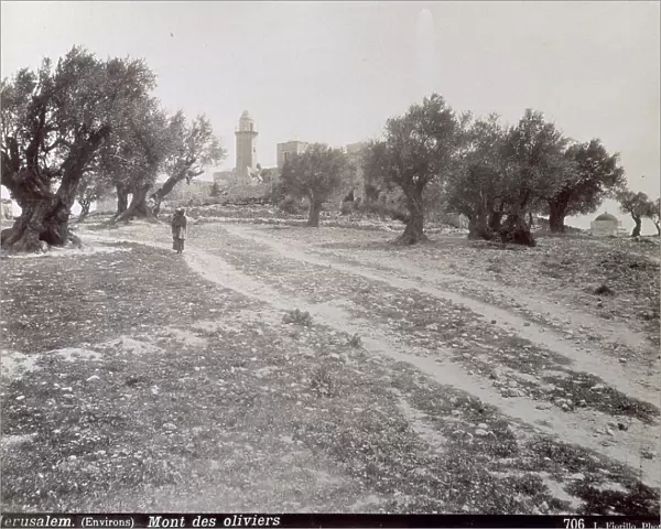 Mount of olives in Jerusalem with the centuries old trees and the religious architecture. In the foreground a woman with a child