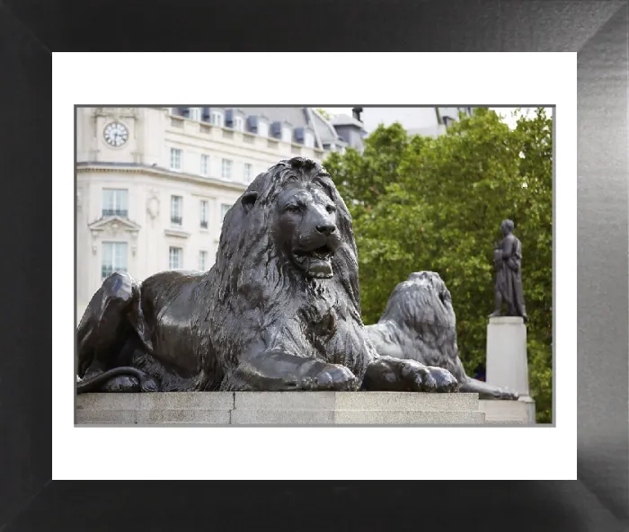 Framed Print : London Trafalgar Square Lion Print, UK Framed Print : London Trafalgar Square Lion Print, UK