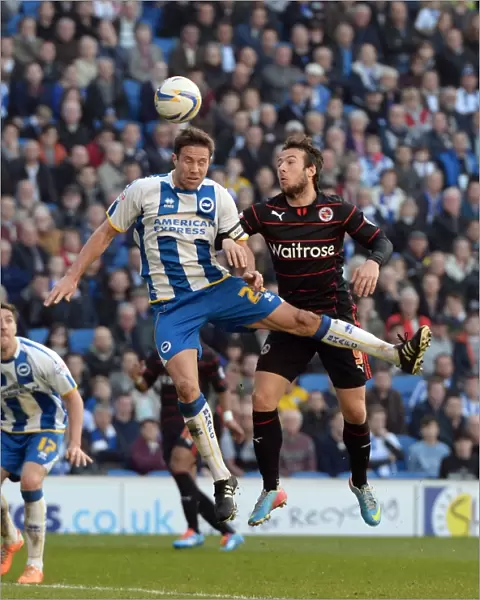 Sky Bet Championship: Battle of the South Coast - Brighton and Hove Albion vs. Reading (2013-14)