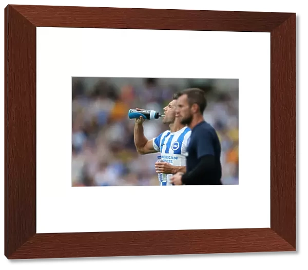Brighton & Hove Albion 2014-15: Home Match against Sheffield Wednesday (September 8th, 2014)
