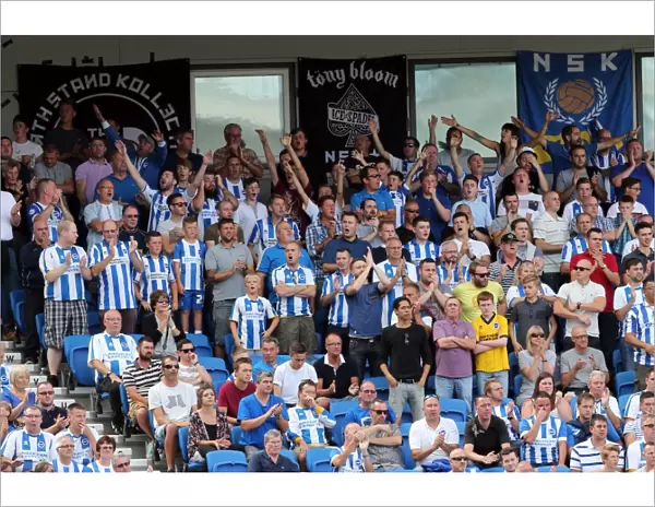 Brighton & Hove Albion 2014-15: Home Game vs Sheffield Wednesday (September 8th, 2014)