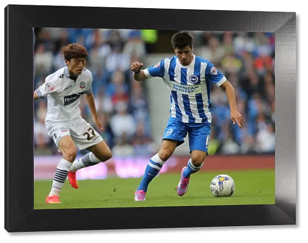 Brighton & Hove Albion 2014-15: Home Game vs. Bolton Wanderers (August 23, 2014)