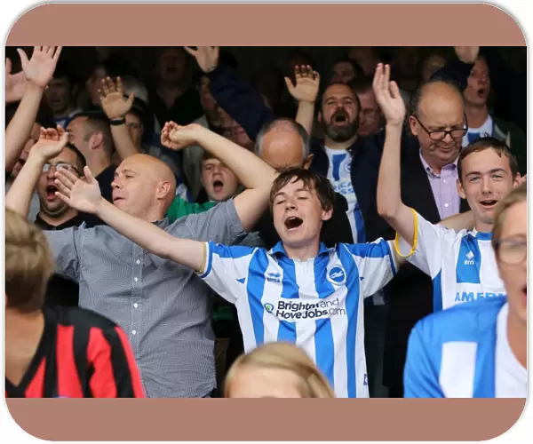 Brighton & Hove Albion 2014-15: Away Game at Brentford (September 13, 2014)