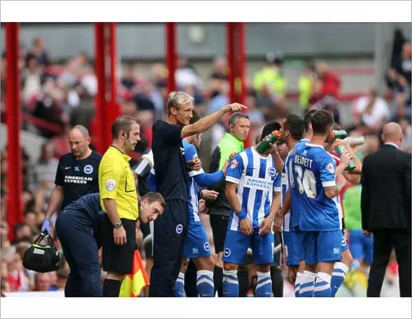 Brighton and Hove Albion at Brentford: Away Game, September 13, 2014