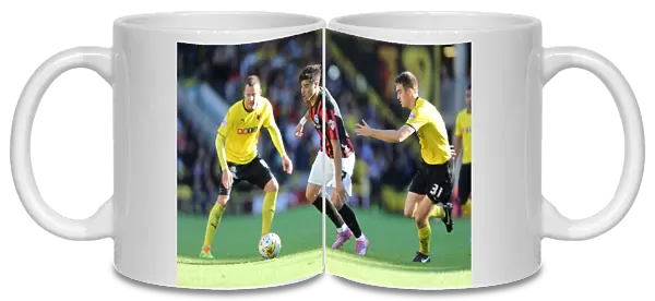 Brighton & Hove Albion: Away Game at Watford (October 4, 2014)