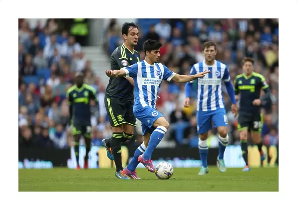 Joao Teixeira in Action: Brighton and Hove Albion vs. Middlesbrough (October 18, 2014)