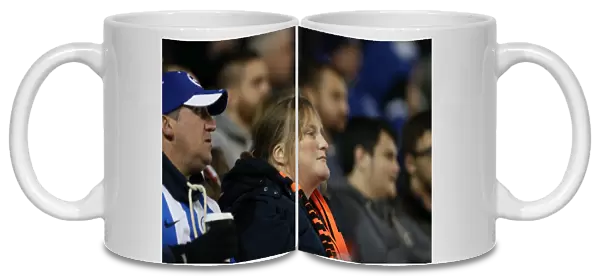 Brighton and Hove Albion FC: Unwavering Support - Sky Bet Championship Match vs Wigan Athletic (4 November 2014)