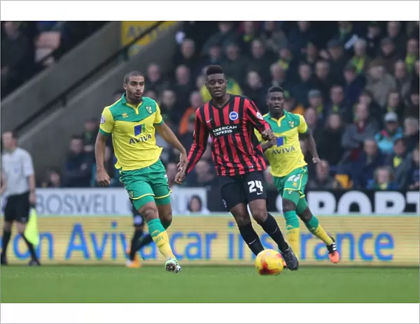 Rohan Ince in Action: Norwich City vs. Brighton & Hove Albion, 2014