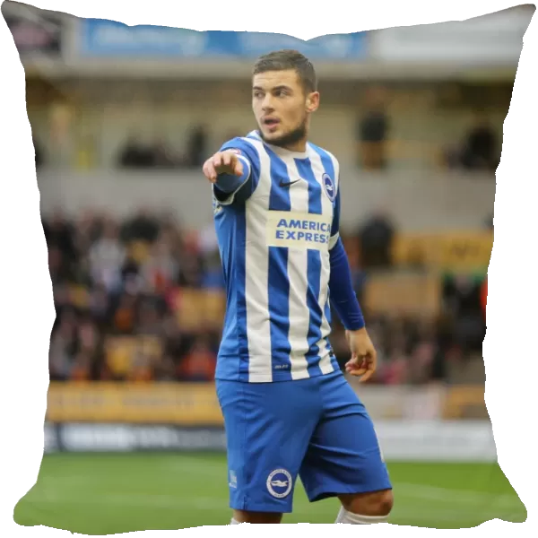 Jake Forster-Caskey in Action for Brighton and Hove Albion Against Wolverhampton Wanderers (December 2014)