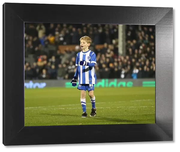 Brighton and Hove Albion Mascot at Fulham's Craven Cottage during Sky Bet Championship Match (December 2014)