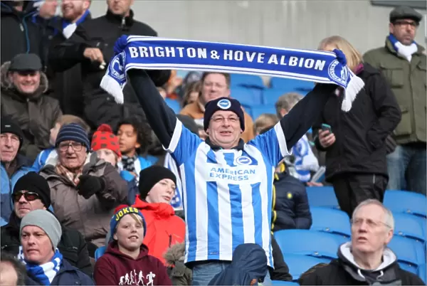 Passionate Showdown: Brighton & Hove Albion vs. Brentford (17Jan15)