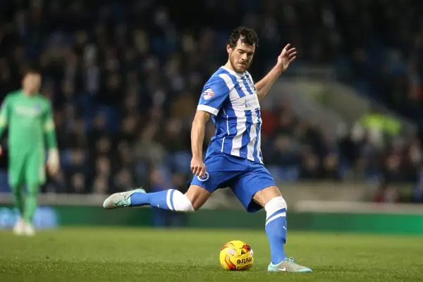 Brighton and Hove Albion's Gordon Greer Leads the Charge Against Ipswich Town (January 2015)