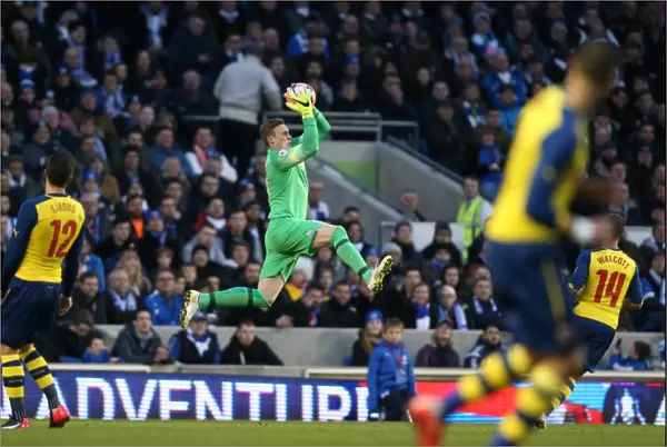 David Stockdale in Action: Brighton and Hove Albion vs Arsenal FA Cup Clash, January 2015
