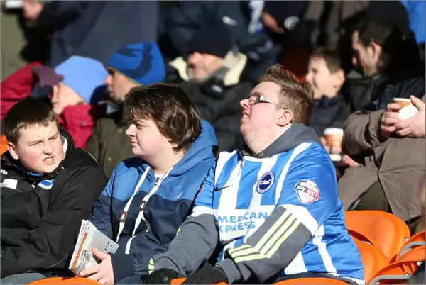 Brighton and Hove Albion Fans in Action at Bloomfield Road (31Jan15)