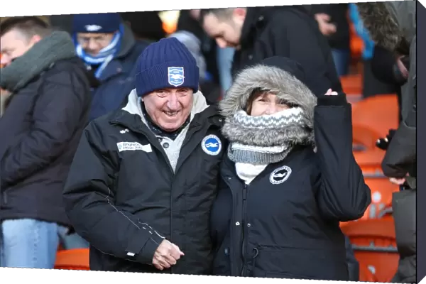 Brighton and Hove Albion Fans in Full Swing at Bloomfield Road vs Blackpool (31Jan15)