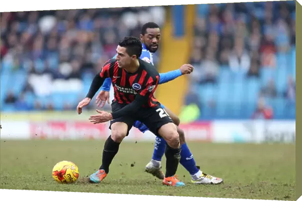 Brighton's Kayal in Action against Sheffield Wednesday, February 2015