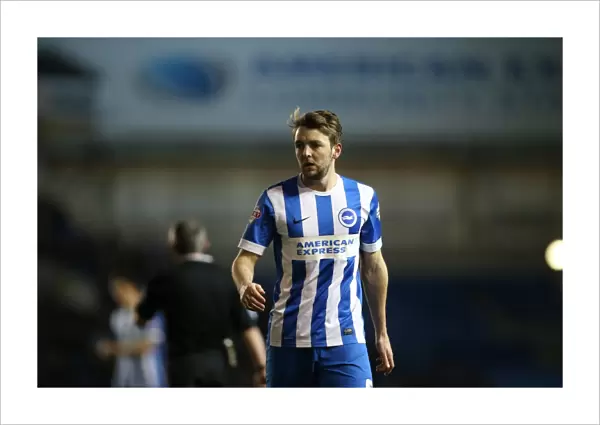Dale Stephens in Action: Brighton and Hove Albion vs. Leeds United, 24 February 2015